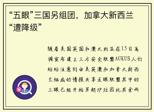“五眼”三国另组团，加拿大新西兰“遭降级”